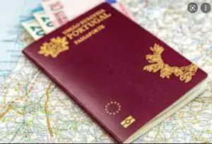 Countries urged to revoke golden passports and control visas